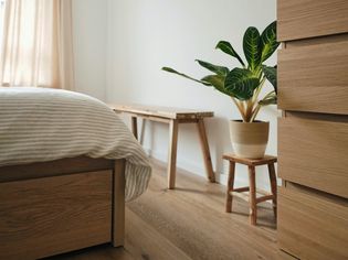 角角视图带长椅和植物的卧室