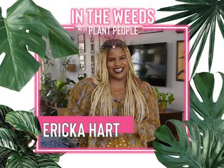 Ericka Hart与植物人网