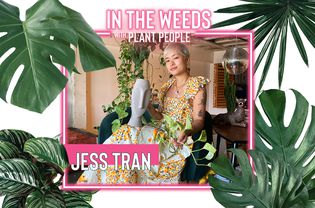 Jess Tran配点植物