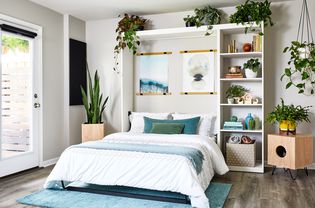 时尚卧室墨菲床和植物装饰
