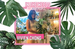 Viven Chong装配带植物人Weeds