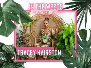 Tracey Hairston表示'Weeds带植物人'