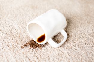 咖啡洒在地毯上
