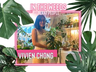 Viven Chong装配带植物人Weeds