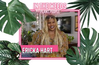 Ericka Hart与植物人网