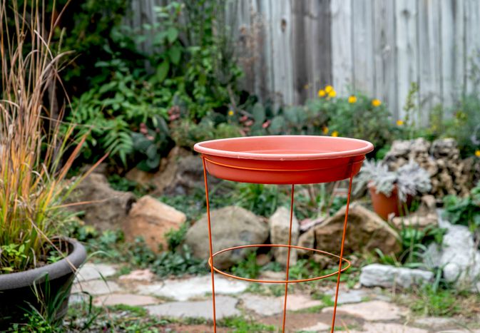 DIY鸟浴池由金属番茄笼站和粘土锅盘制成