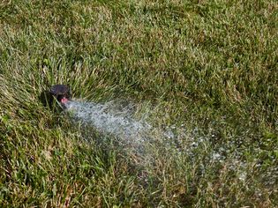 草坪喷洒水