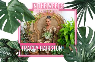Tracey Hairston表示'Weeds带植物人'