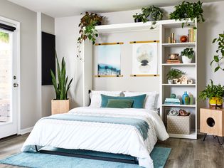 时尚卧室墨菲床和植物装饰