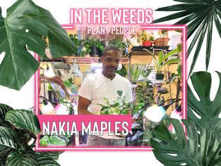 Plantguy NakiaWeds和PlantPeope第7集