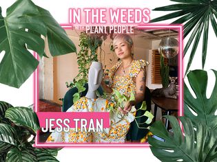 Jess Tran配点植物