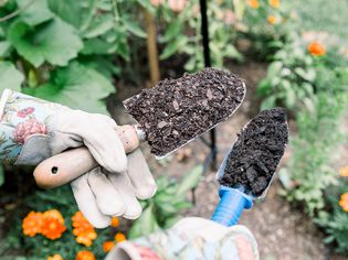 园丁检验顶层土壤和堆肥