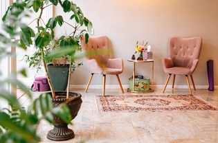 室内两张粉色椅子 地毯和植物