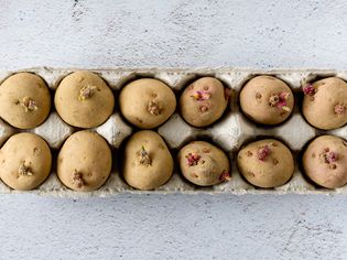 鸡箱中种子马铃薯覆盖视图